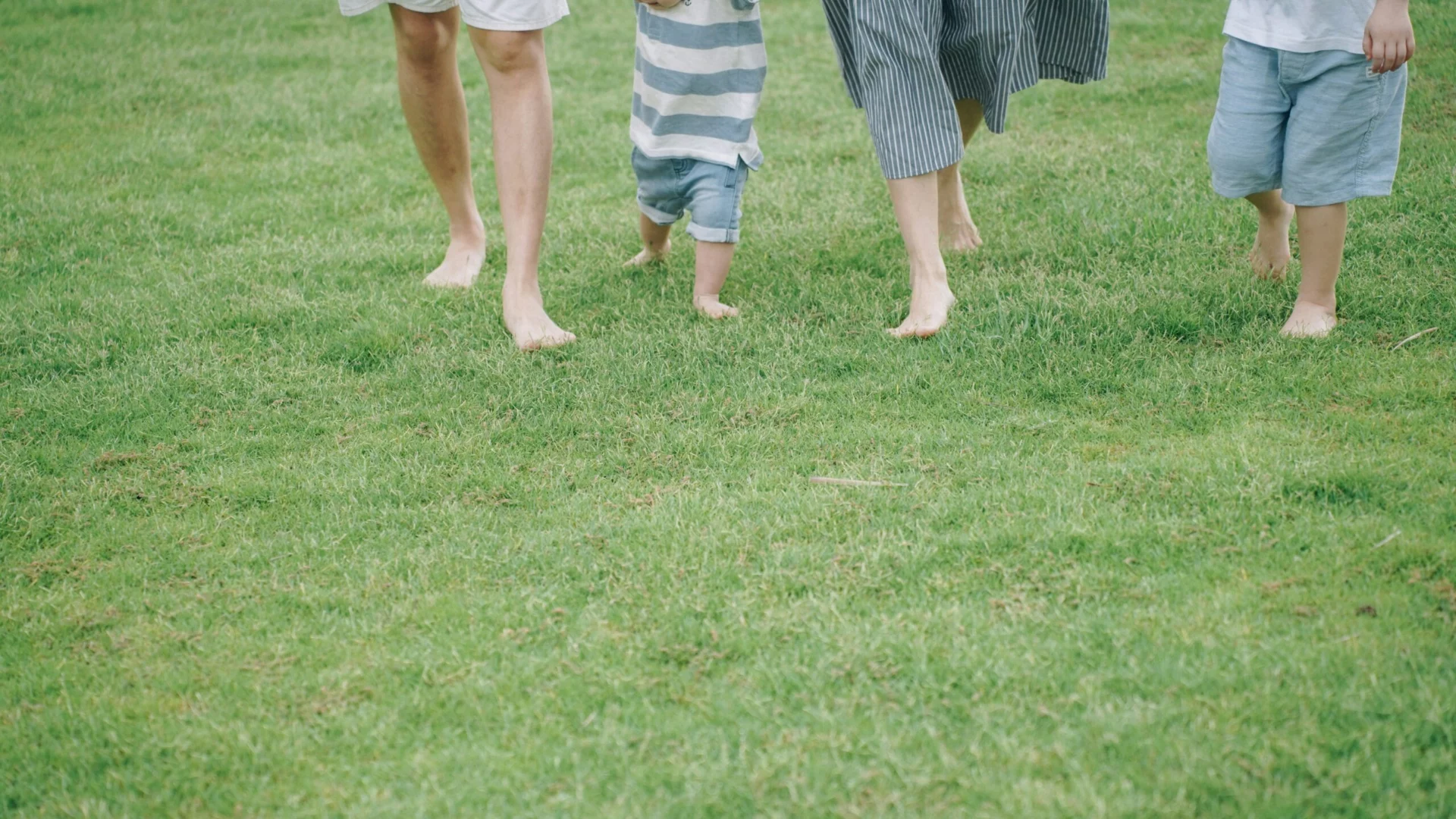 Les jambes d'une famille qui marche pieds nus dans l'herbe